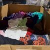 Free People apparel pallets